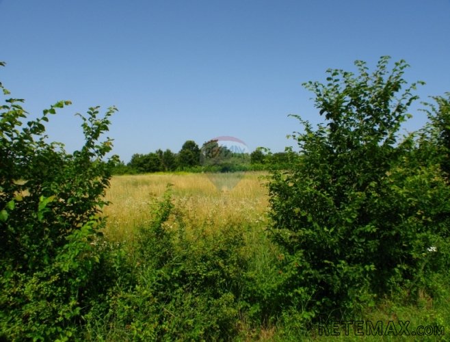 ISTRA, OKOLICA MUNTRILJA, GRAĐEVINSKO ZEMLJIŠTE 2005 M2 - 3