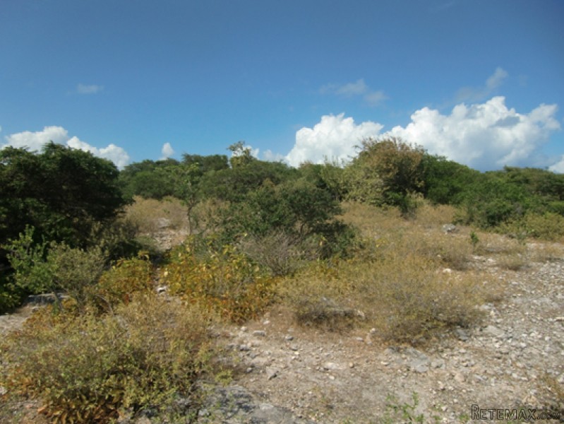 Freehold Parcel in The Settlement.. - 2