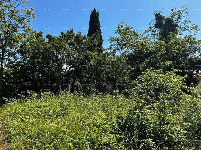 Prodaja kuće sa stajom i zemljištem u blizini Barbana! - 3