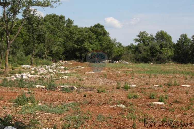 Rovinj, Valade, poljoprivredno zemljište 48211 m2 - 5