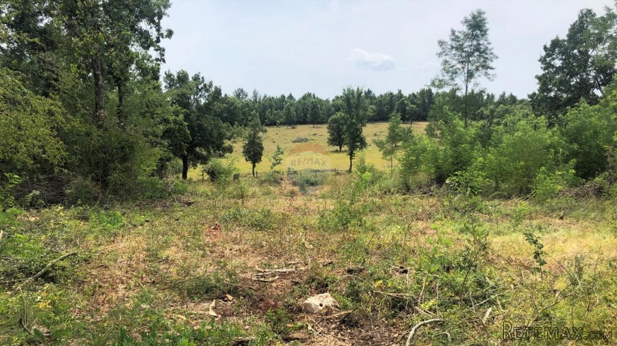 Istra, Grožnjan okolica, lijepa građevinska parcela