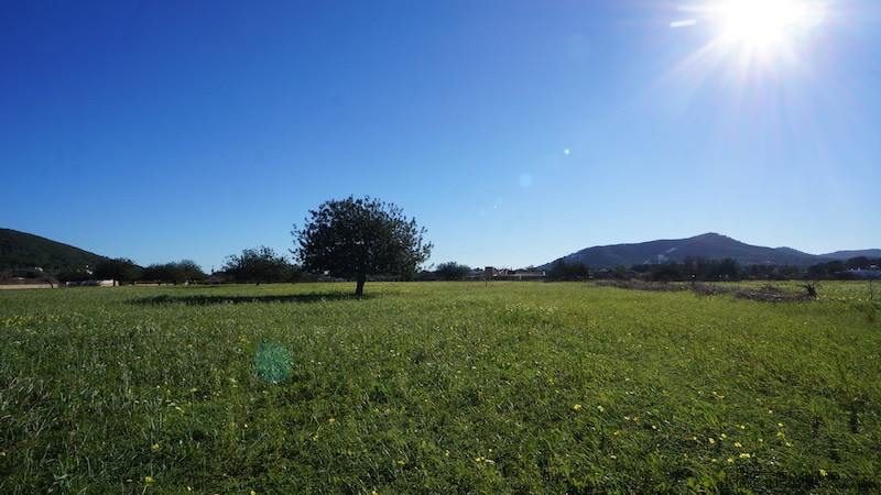7 bedroom Plot For Sale: Santa Eulalia.. - 2