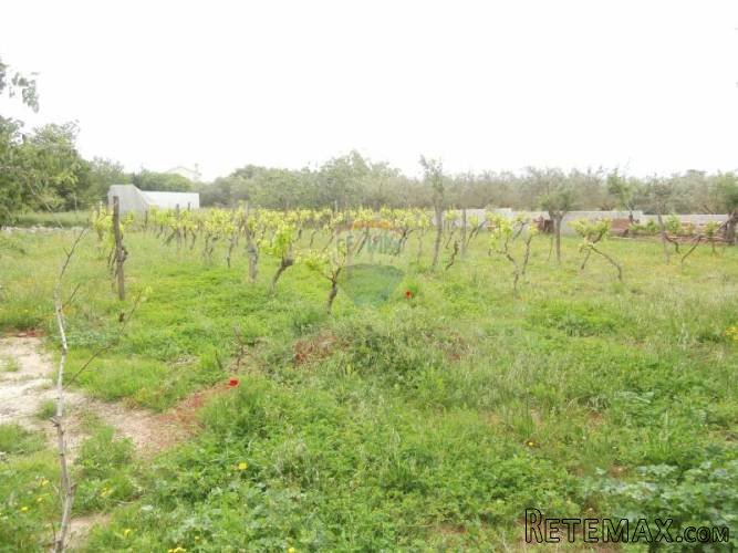 ISTRA-građevinsko zemljište 8km od Poreča - 2