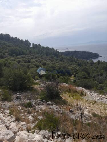 Korčula, Blato, 80.567 m2, južna strana, mogućnost gradnje - 11
