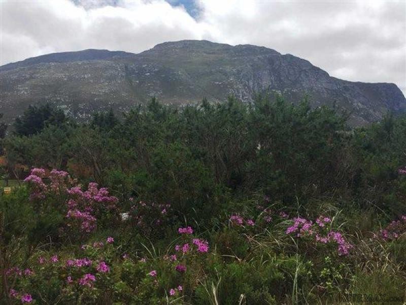 Bettys Bay Vacant Land, Bettys Bay