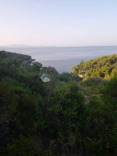 Korčula, Blato, 80.567 m2, južna strana, mogućnost gradnje - 13