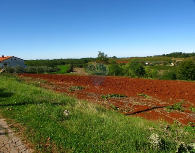 VIŽINADA, GRAĐEVINSKA PARCELA 5000 M2 S PREKRASNIM POGLEDOM - 3