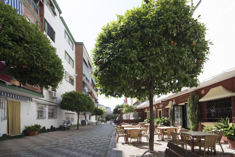 Apartment in La Divna Pastora