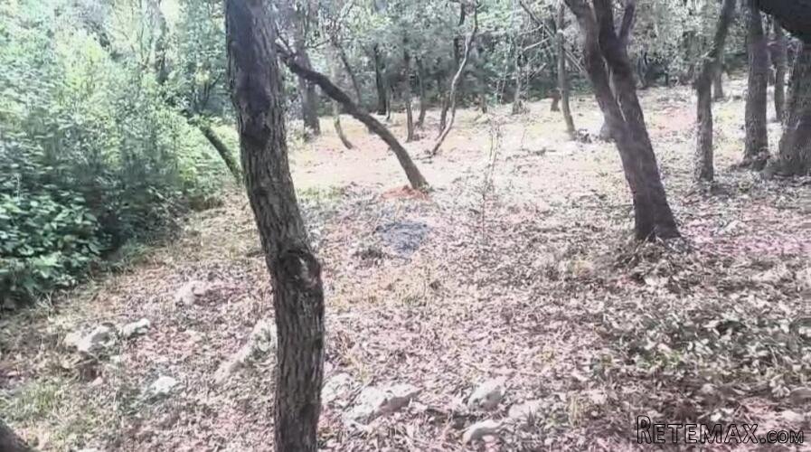 Istra, Kavran, negrađevinsko zemljište 1. red do mora - 2