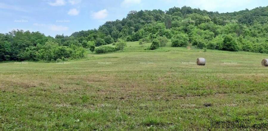 Prodaja- veliko imanje/stancija u središnjoj Istri, Pazin!.. - 2