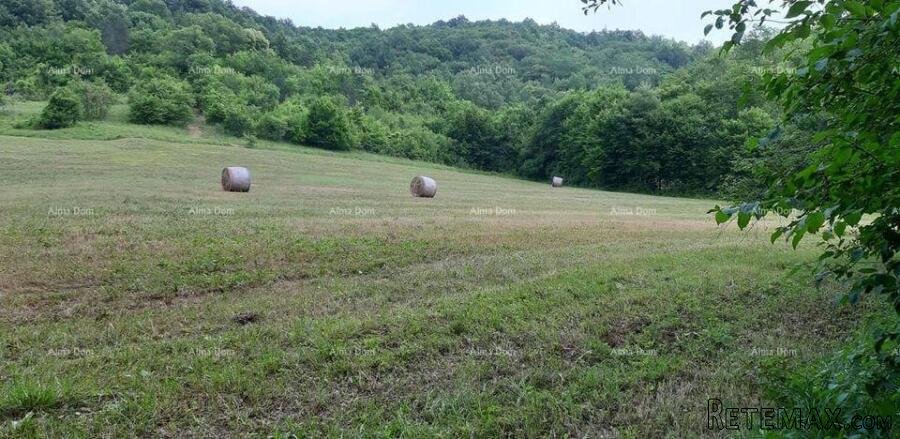 Prodaja- veliko imanje/stancija u središnjoj Istri, Pazin!.. - 4