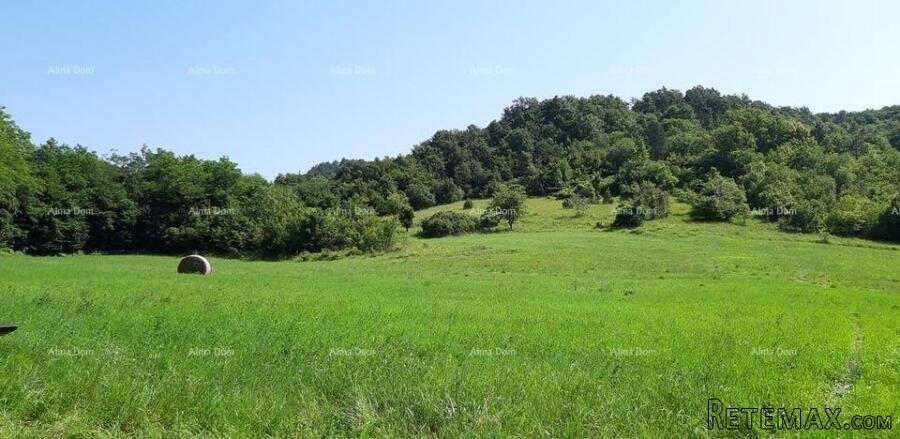 Prodaja- veliko imanje/stancija u središnjoj Istri, Pazin!.. - 5