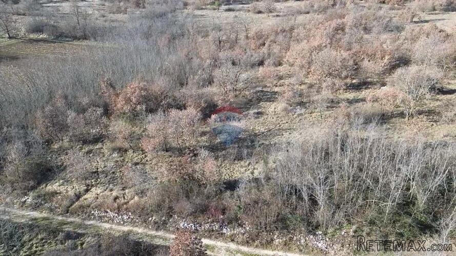 Istra, Baderna, okolica - veliko poljoprivredno zemljište v - 3