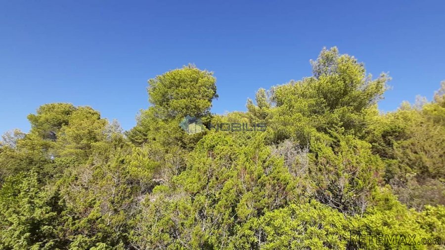 Vis, poljoprivredno zemljište 8.384 m2 SNIŽENO - 3