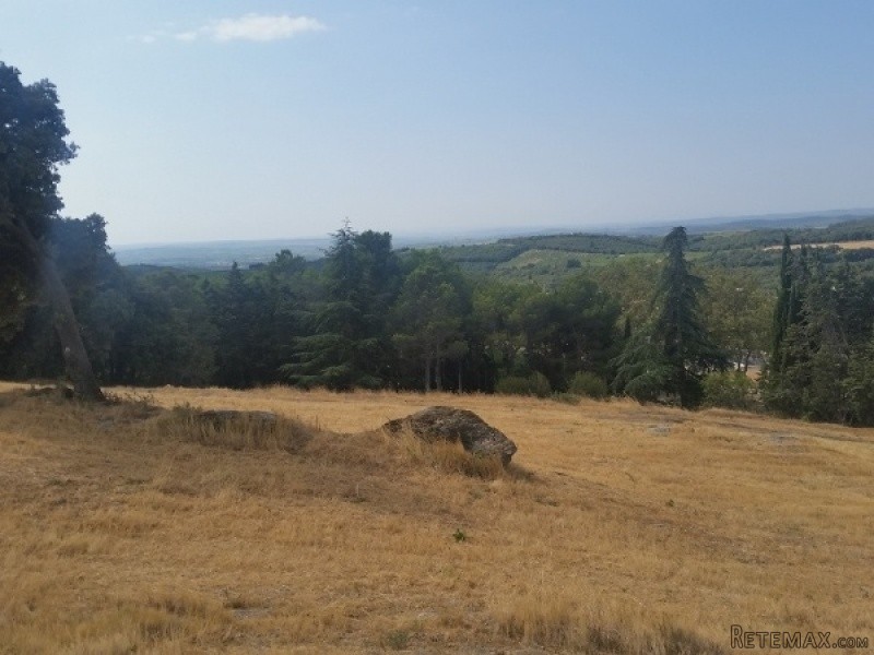Land Of 9397 M2 Including A..