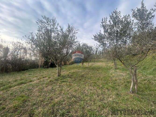 Buje, poljoprivredno zemljište veličine 806 m2 - 3
