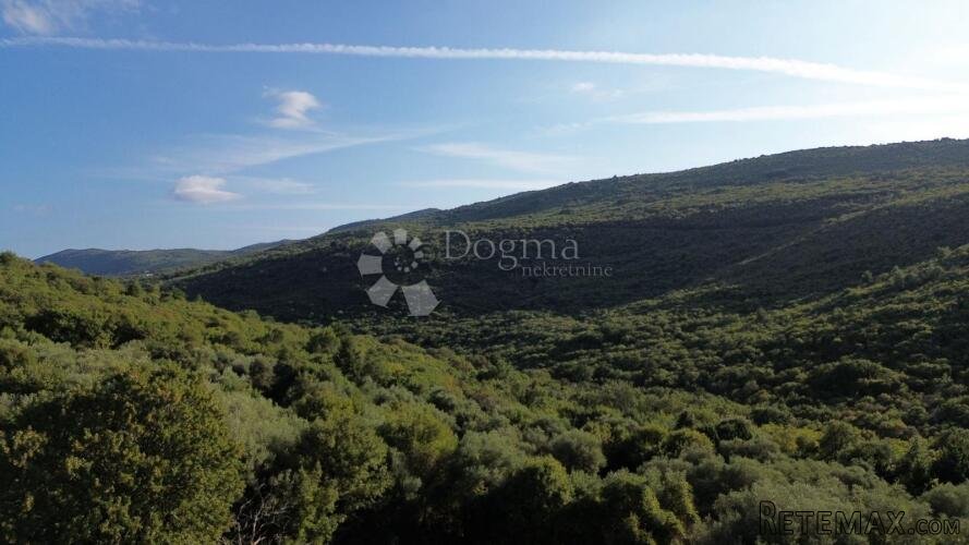 LABIN,okolica,,poljoprivredno zemljište (MASLINIK I ŠUMA) ,g - 3
