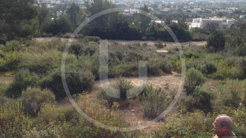Opportunity: 3 plots of land with..