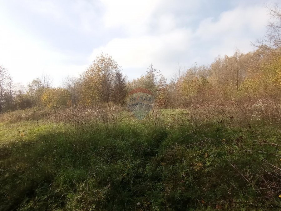 Slunj,Primišlje,seosko imanje 60016 m2 zemljišta - 3