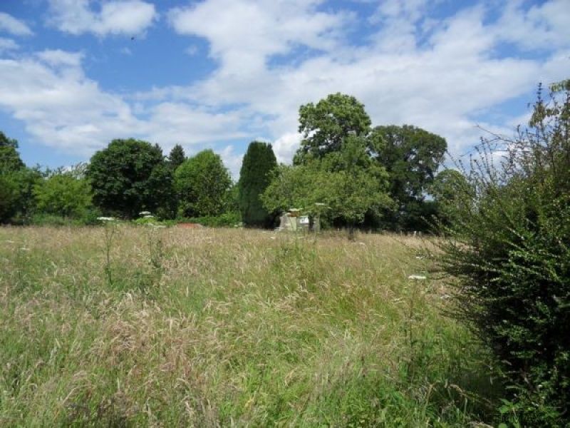 Country House For Sale - 2