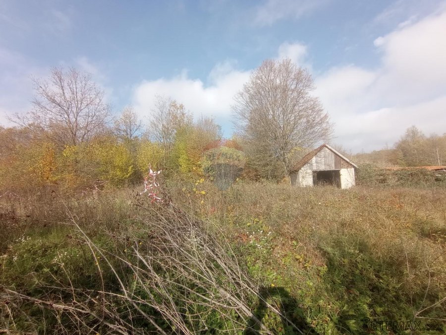 Slunj,Primišlje,seosko imanje 60016 m2 zemljišta - 6