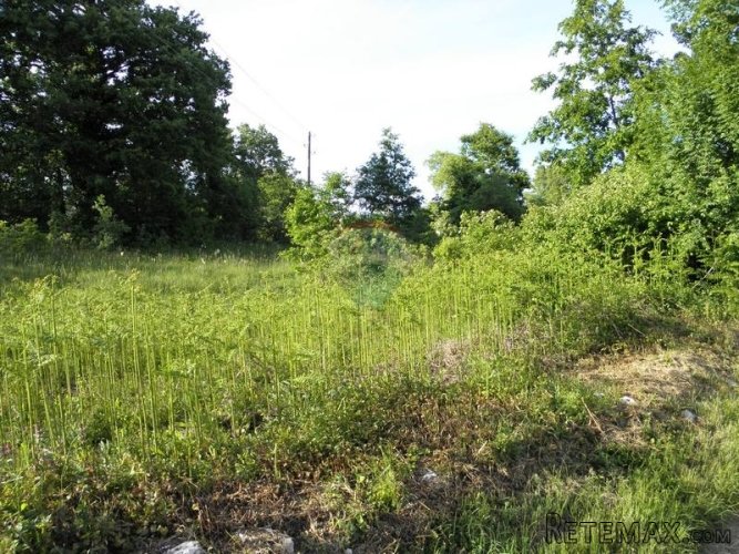 Središnja Istra, građevinski teren za izgradnju 3 vile s...