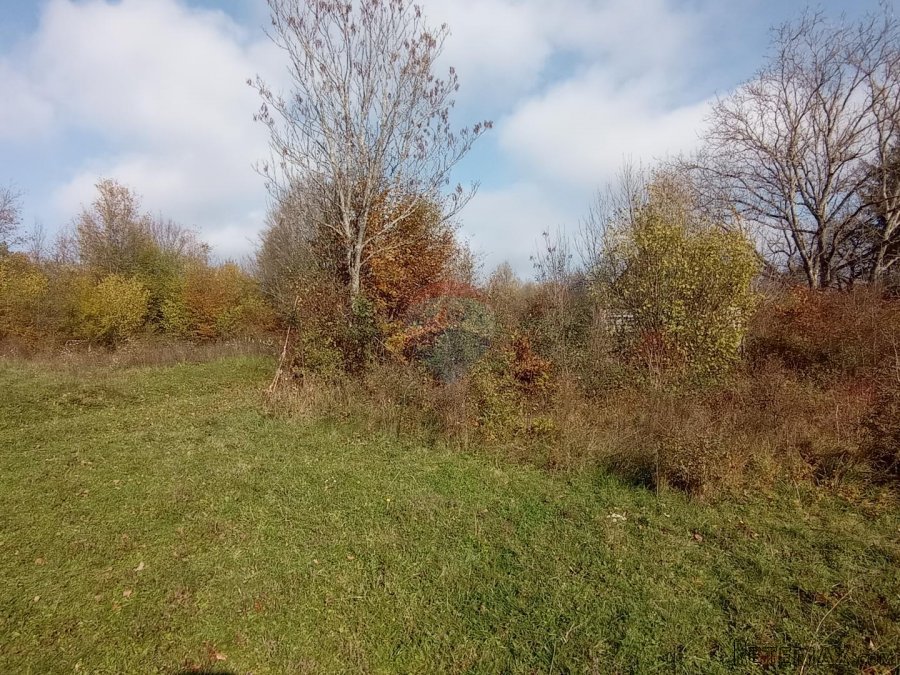 Slunj,Primišlje,seosko imanje 60016 m2 zemljišta - 9