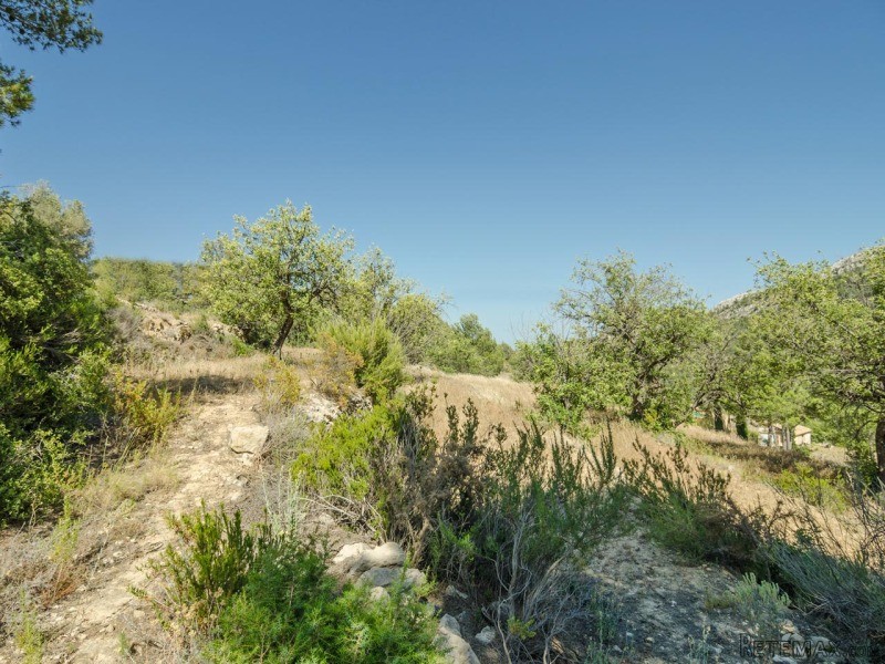 - Property - Alicante - For Sale