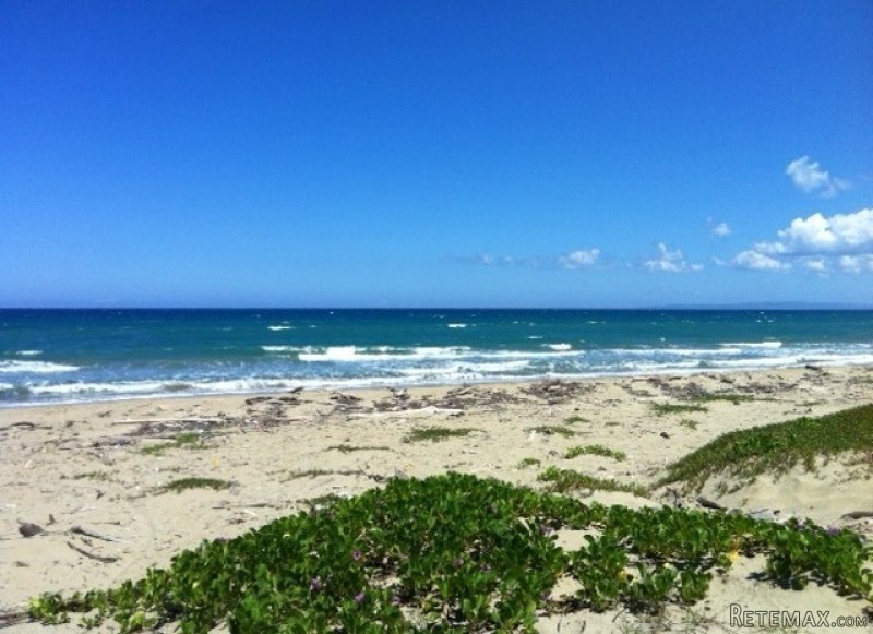 38 Acres Of Beachfront Property In..