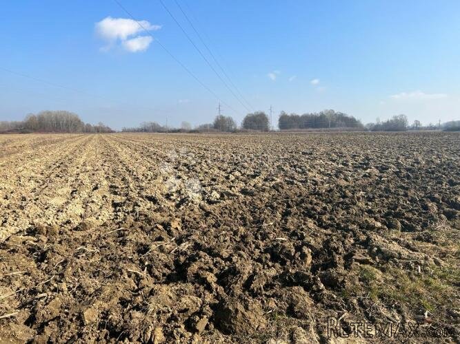 Poljoprivredno Zemljište