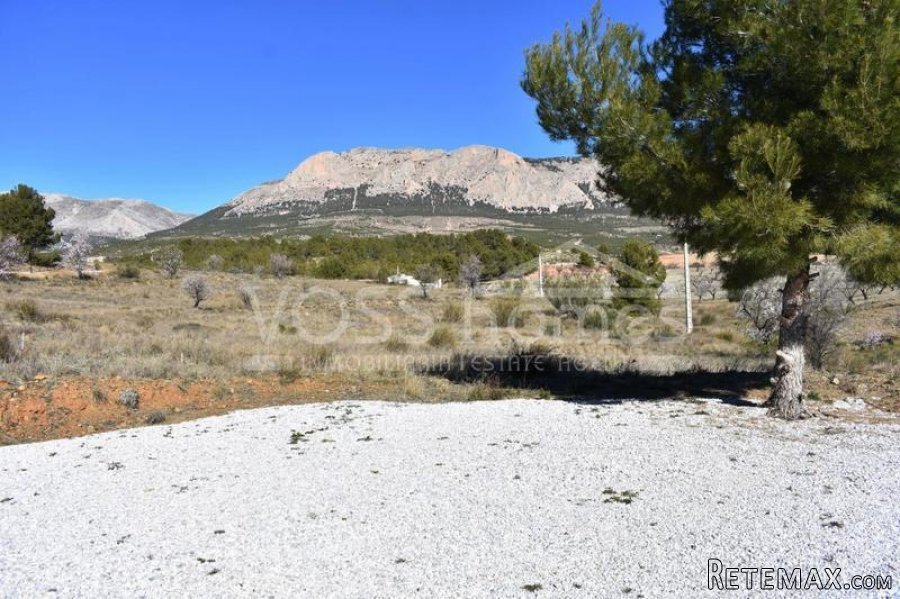 RESERVED/SALE AGREED WITH VOSS HOMES APRIL 2022 very.. - 7