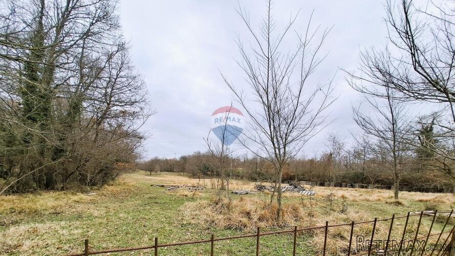 Istra, Brtonigla, poljoprivredno zemljište 9.862 m2 - 2