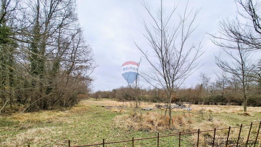 Istra, Brtonigla, poljoprivredno zemljište 9.862 m2 - 3