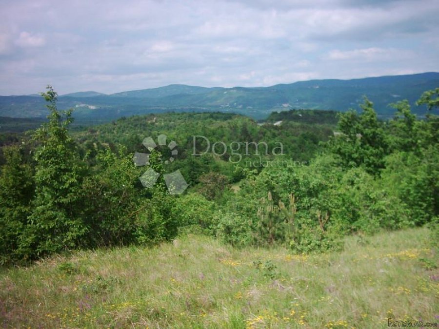 ISTRA, IMPOZANTNO IMANJE - 3