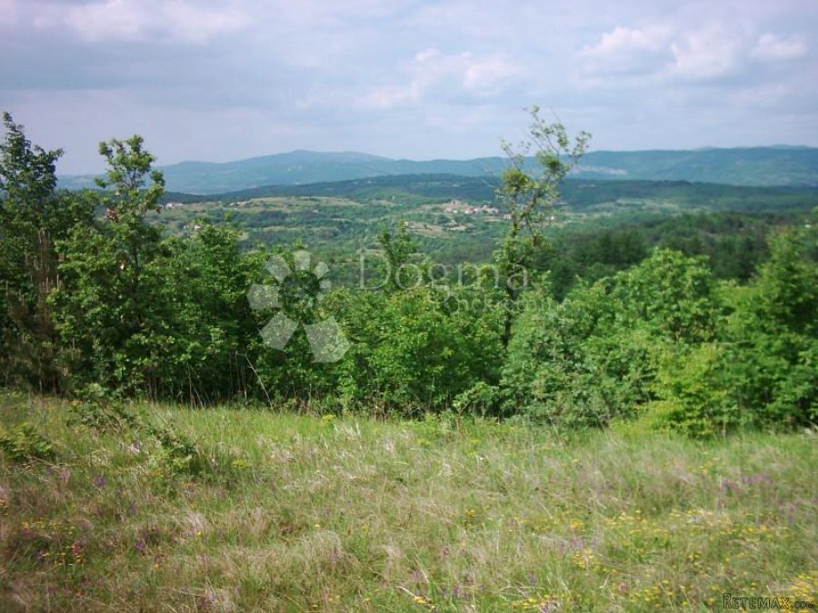 ISTRA, IMPOZANTNO IMANJE - 4