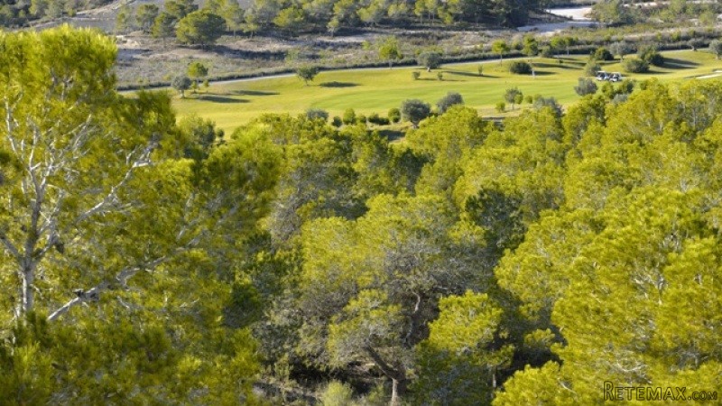 Land For Sale In Campoamor Spsnb0989