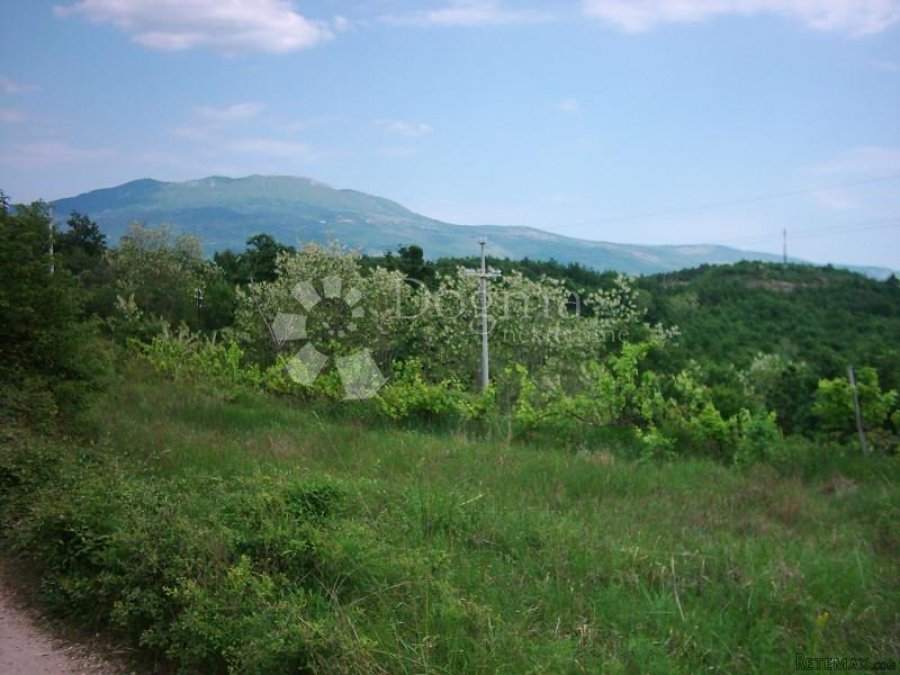 ISTRA, IMPOZANTNO IMANJE - 5