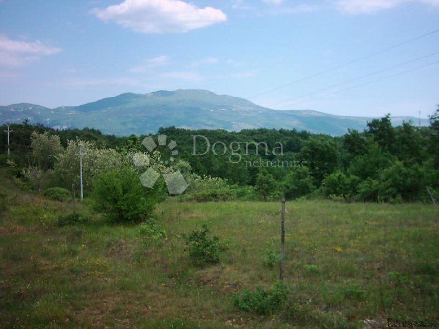 ISTRA, IMPOZANTNO IMANJE - 6