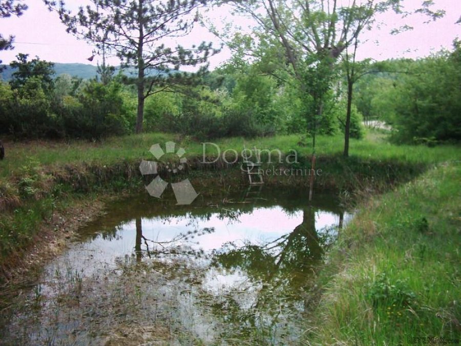 ISTRA, IMPOZANTNO IMANJE - 7
