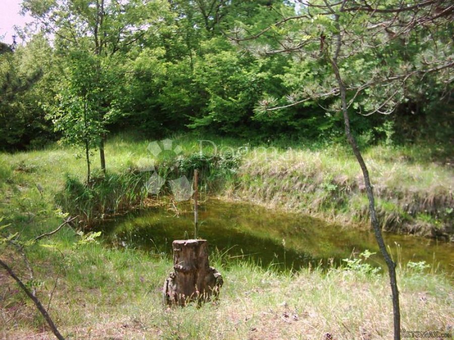 ISTRA, IMPOZANTNO IMANJE - 8