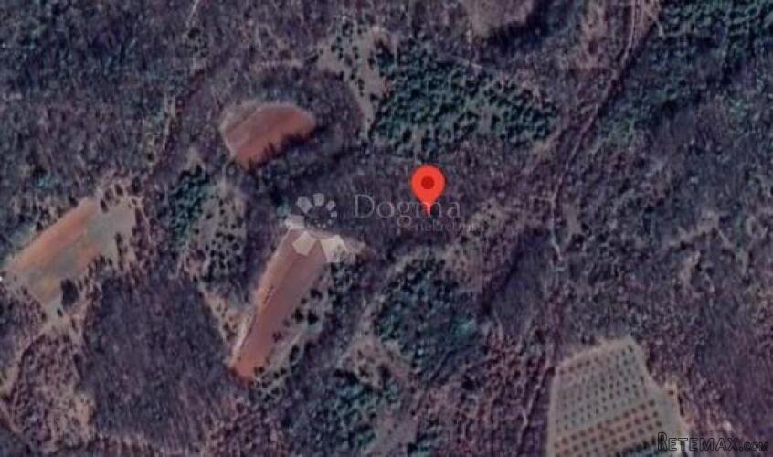 POLJOPRIVREDNO ZEMLJIŠTE 11592M2 - VODNJAN