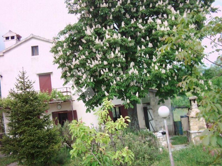 ISTRA, IMPOZANTNO IMANJE - 10