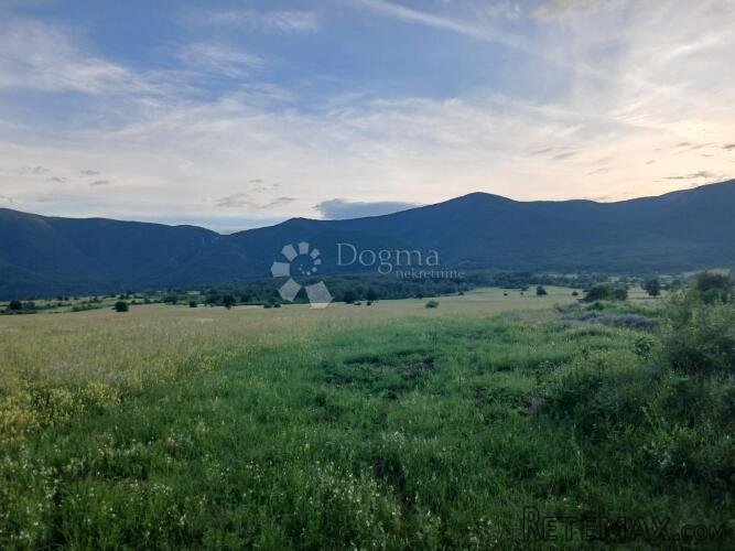 VELIKI POTENCIJAL - 3