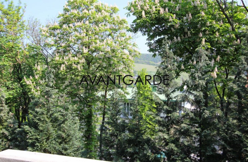 Duplex apartment with garden in prime.. - 2