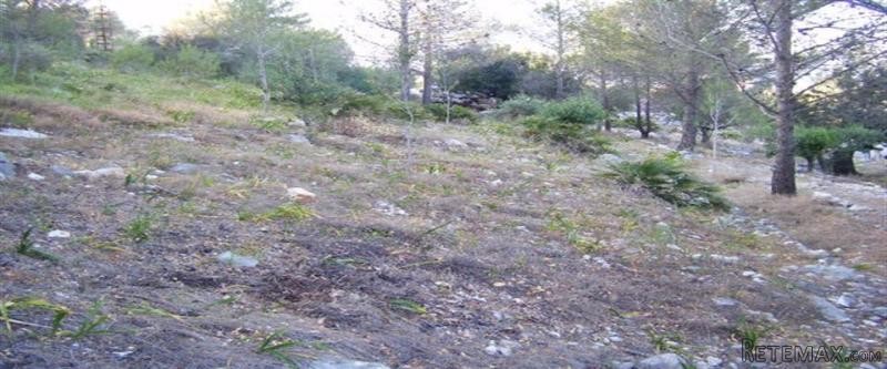 - Land - Alicante - For Sale