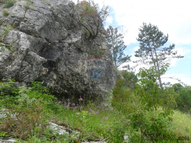 ATRAKTIVNO GRAĐEVINSKO I POLJOPRIVREDNO ZEMLJIŠTE... - 4