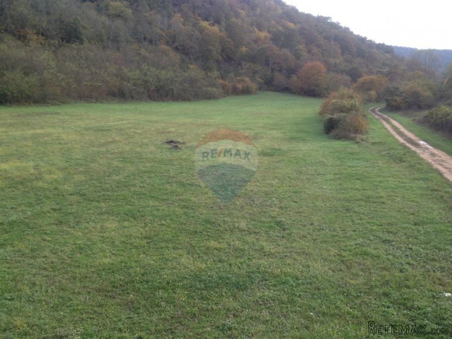 Kanfanar,Vidulini-lijepo poljoprivredno zemljište-13270m2