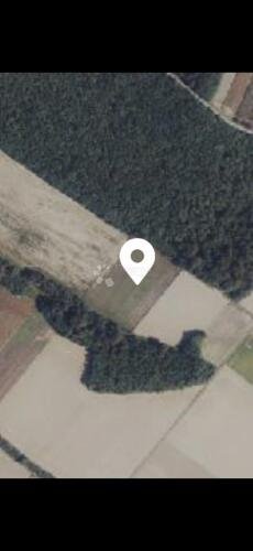 Ograđeno zemljište s mladim orahom – 1.5 ha - 3