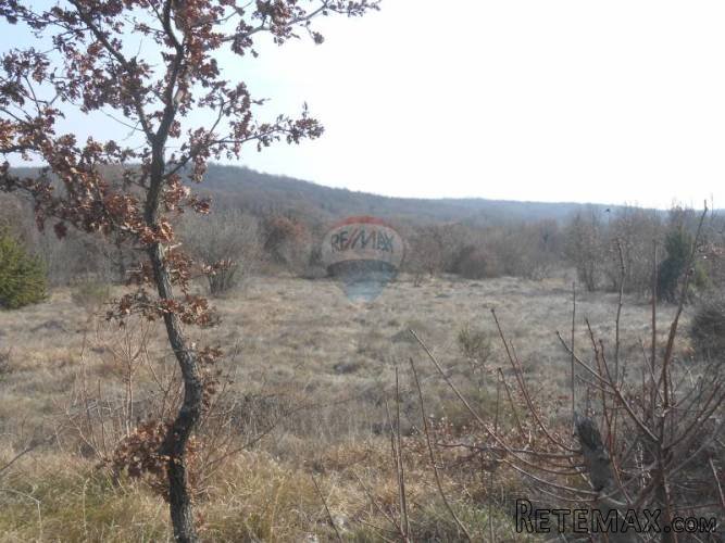 Istra, okolica Rovinja, Sošići,velika poljoprivredna parcela - 4