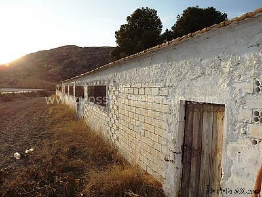 Two large cortijos in a beautiful countryside setting with.. - 9